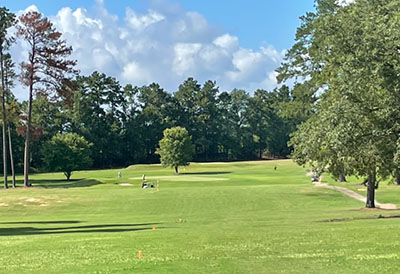 view of fairway from tee box