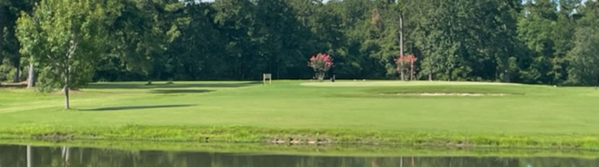 golf cart tour in laurel ms